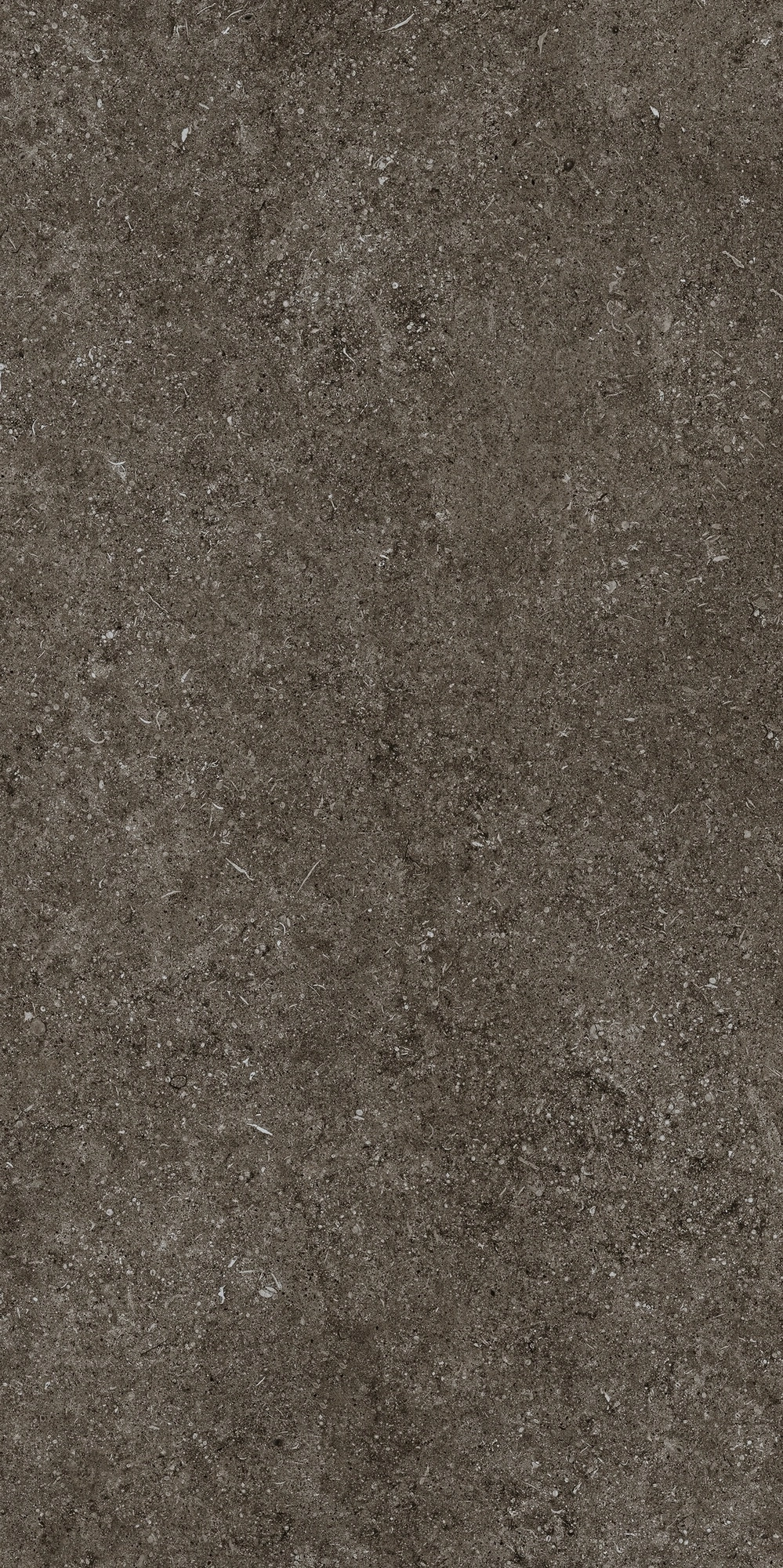 Florim Casa Dolce Casa Sensi Brown Fossil R+Ptv 60X120 Ret 768328