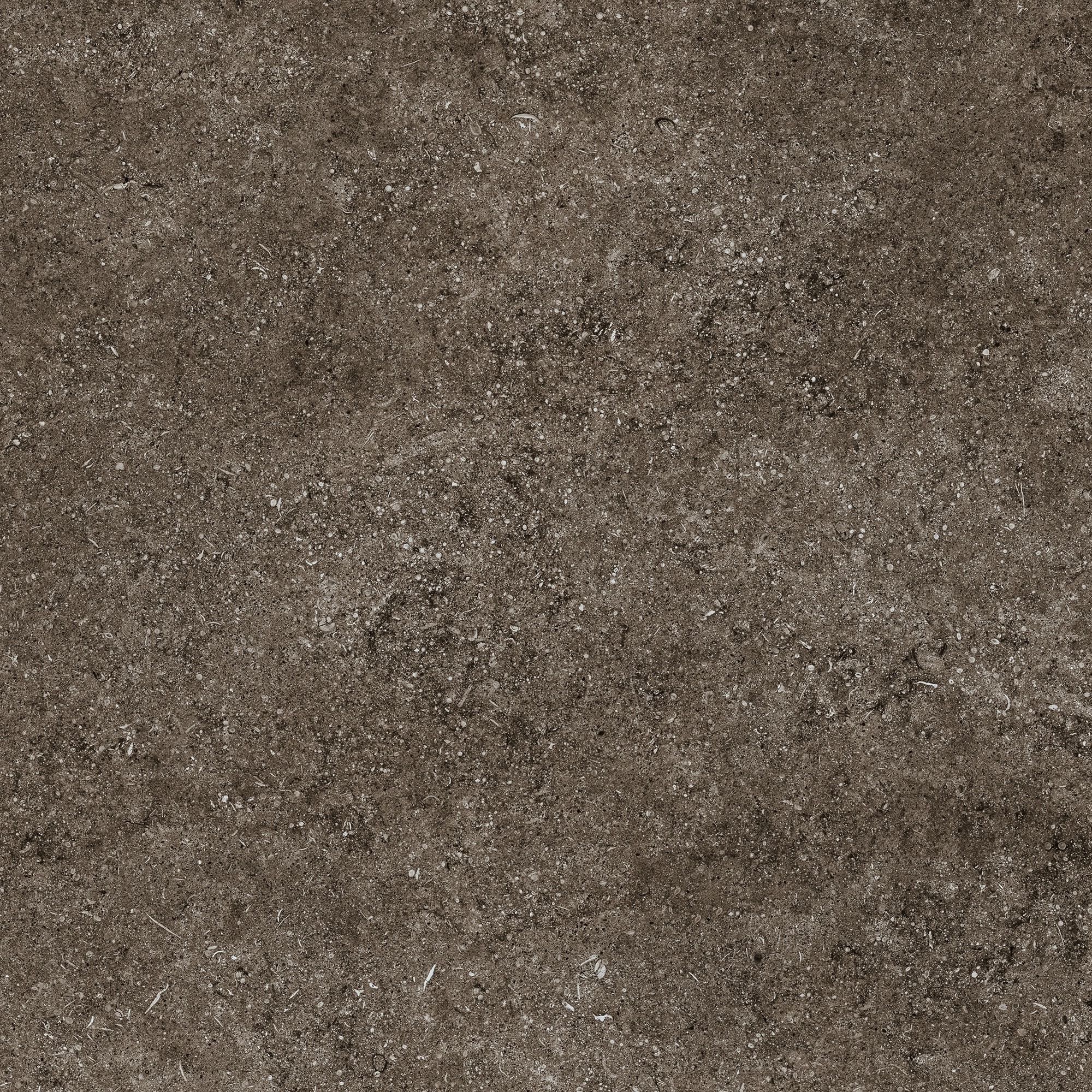 Florim Casa Dolce Casa Sensi Brown Fossil R+Ptv 80X80 Rett 768380