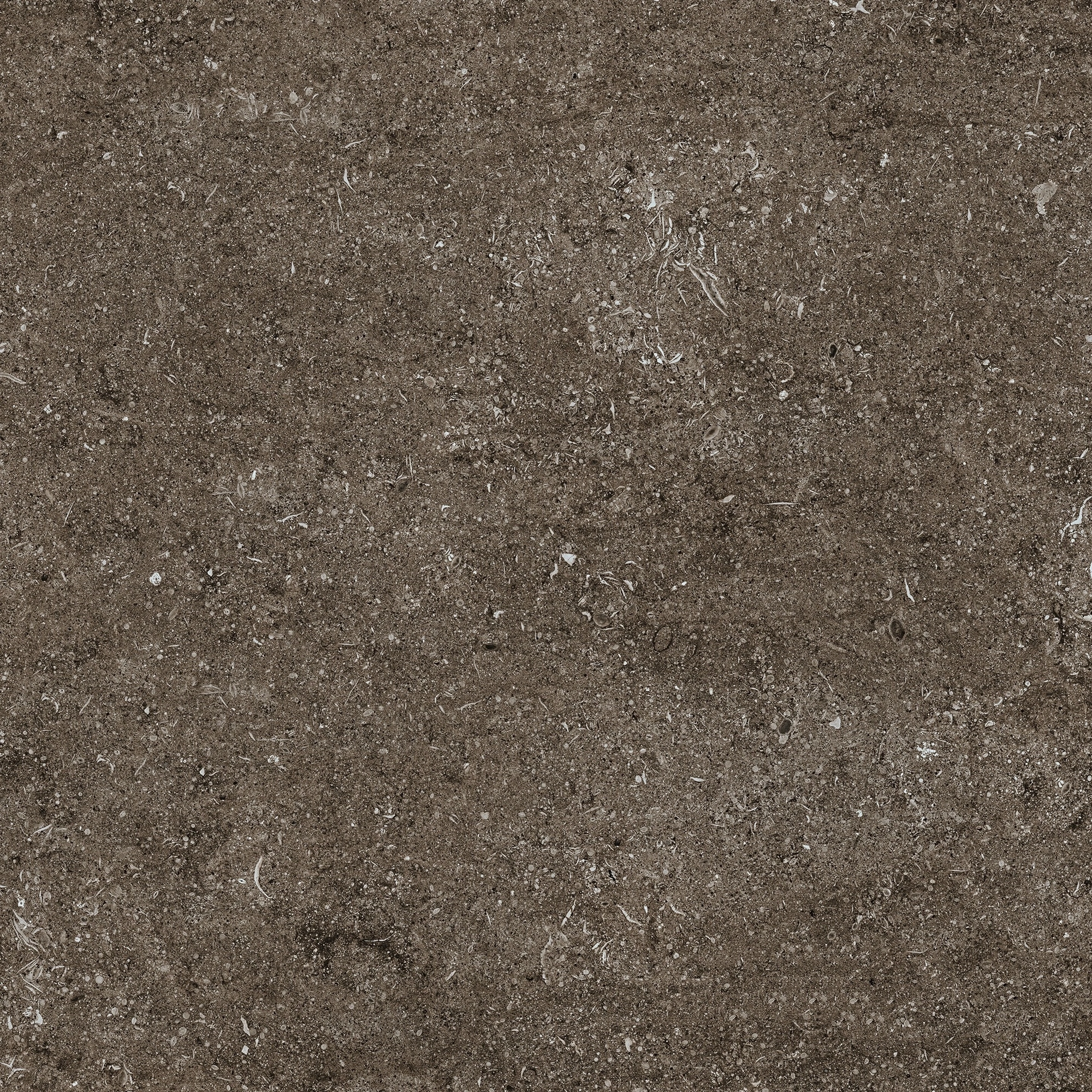 Florim Casa Dolce Casa Sensi Brown Fossil R+Ptv 80X80 Rett 768380