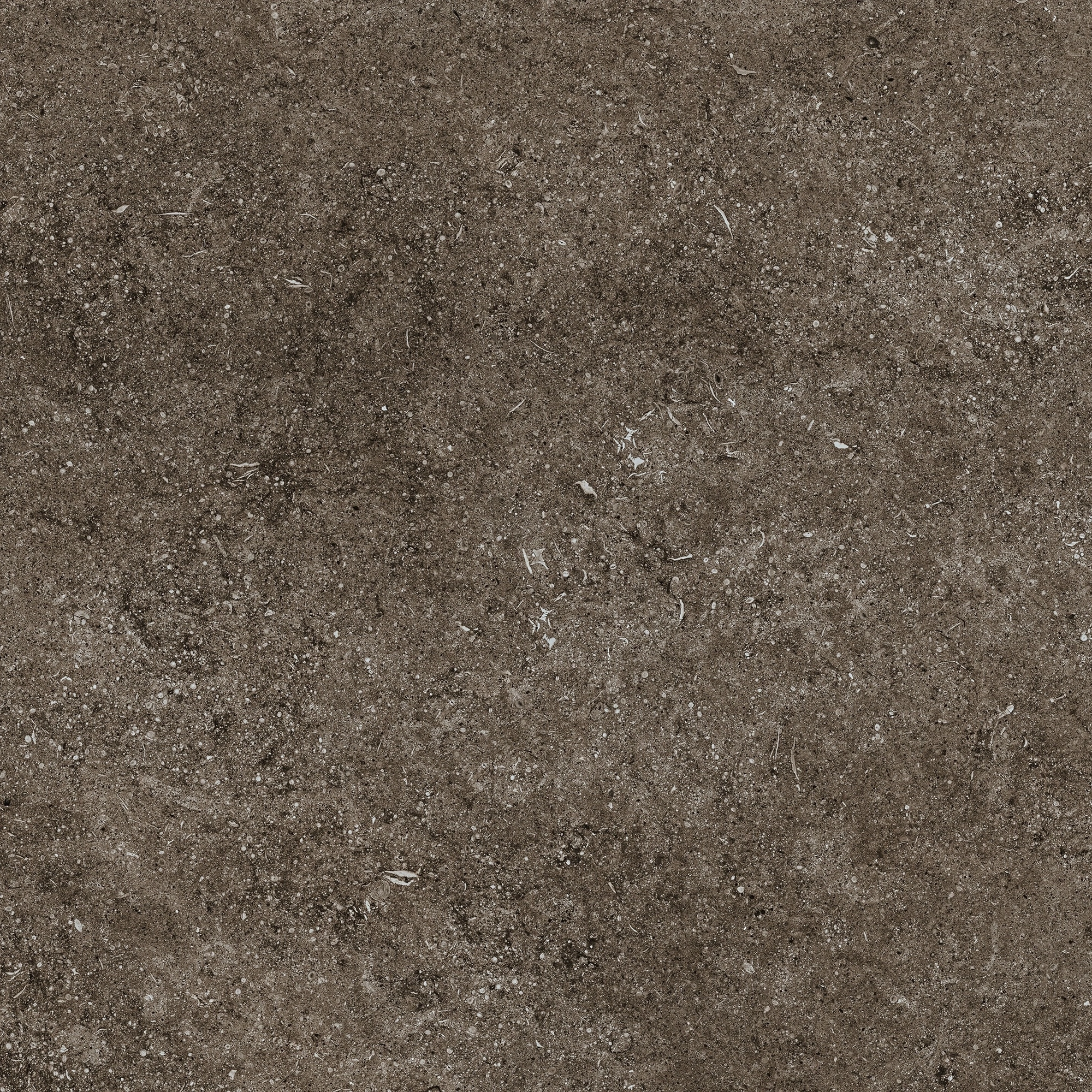 Florim Casa Dolce Casa Sensi Brown Fossil R+Ptv 80X80 Rett 768380