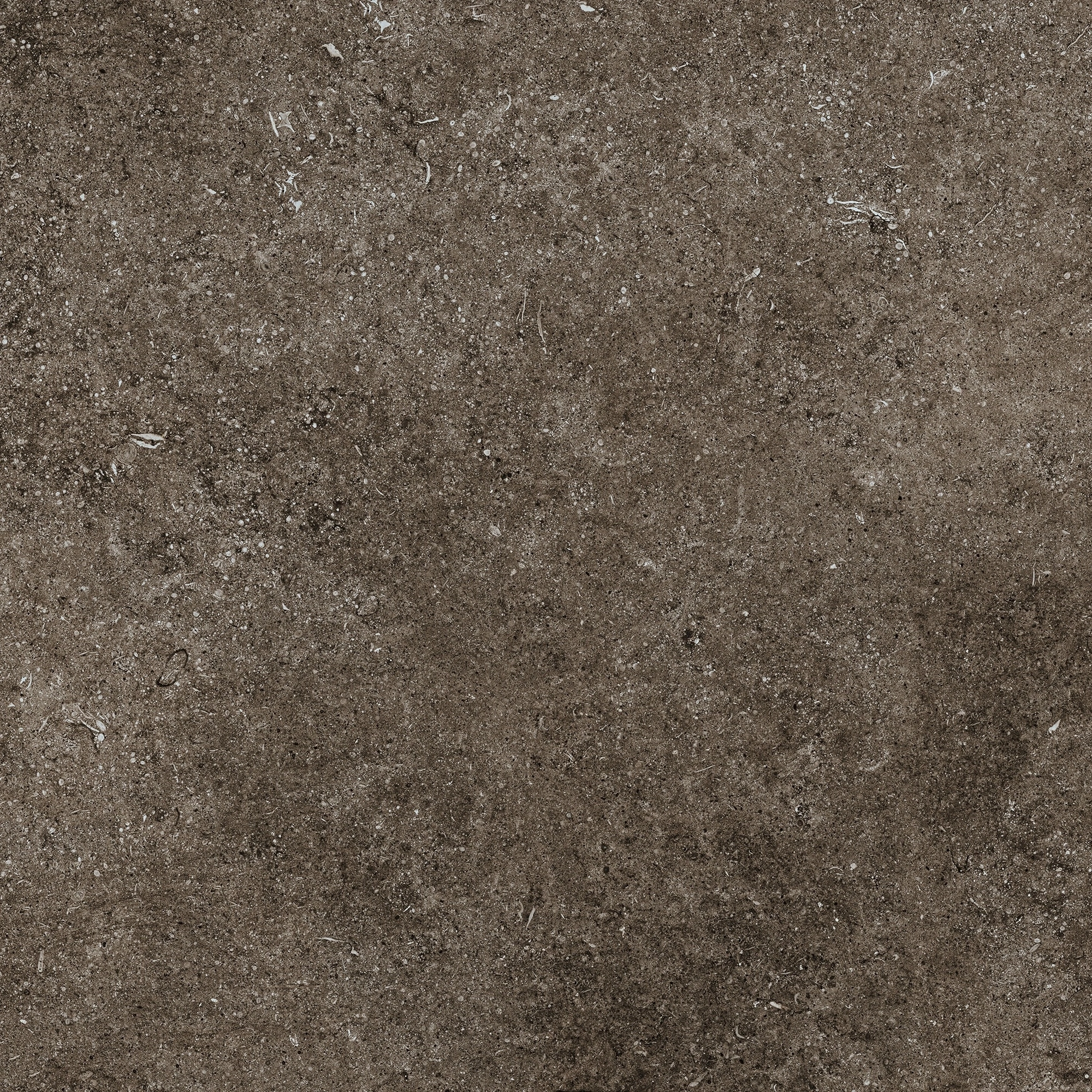 Florim Casa Dolce Casa Sensi Brown Fossil R+Ptv 80X80 Rett 768380