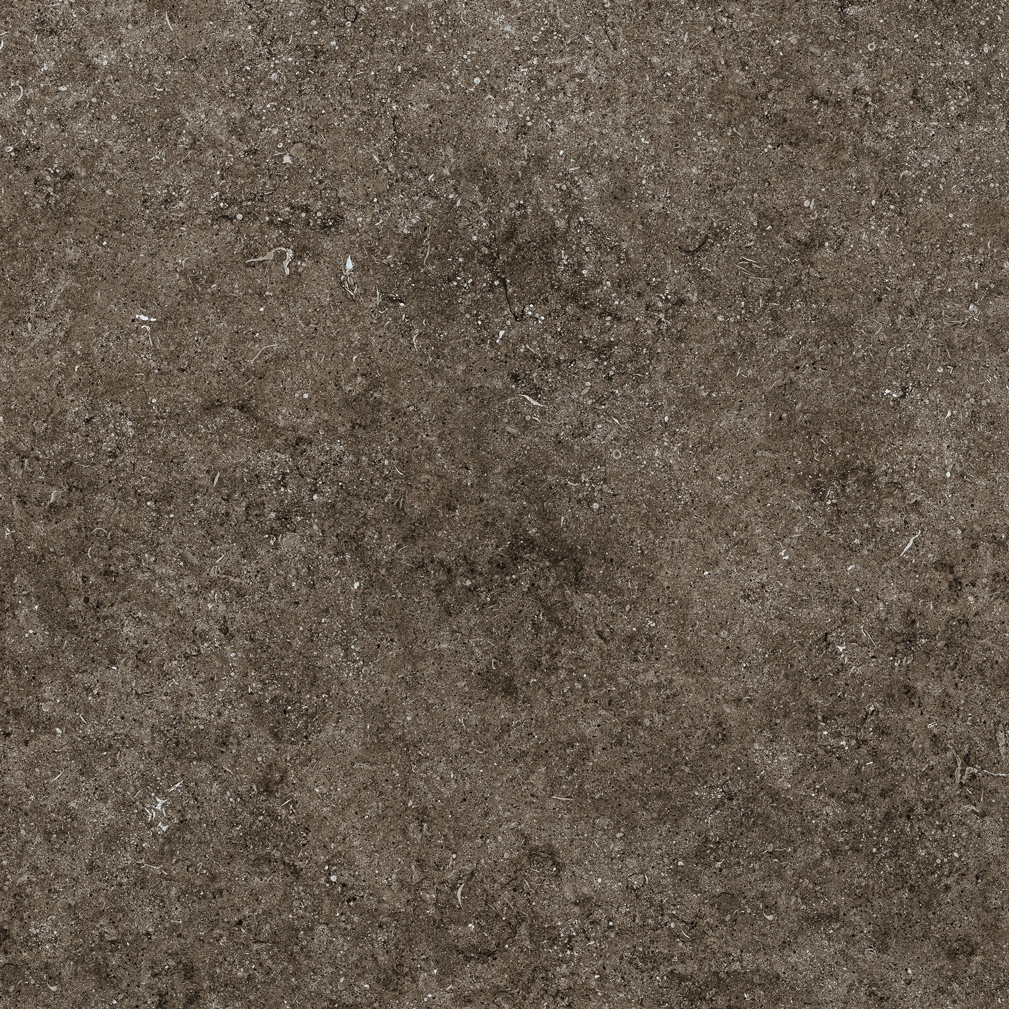 Florim Casa Dolce Casa Sensi Brown Fossil R+Ptv 80X80 Rett 768380
