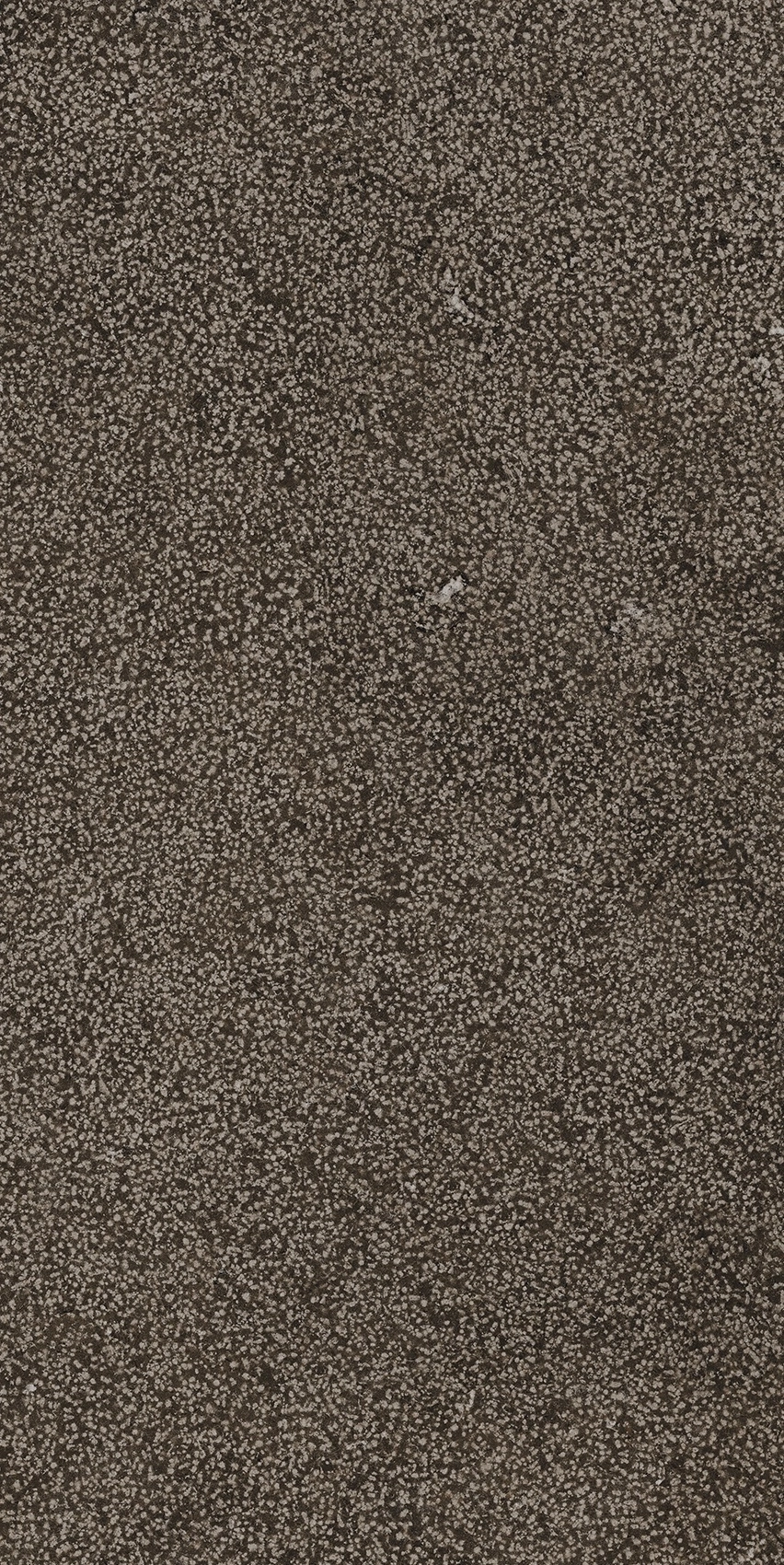 Florim Casa Dolce Casa Sensi Brown Lithos 40X80 Rett 768352