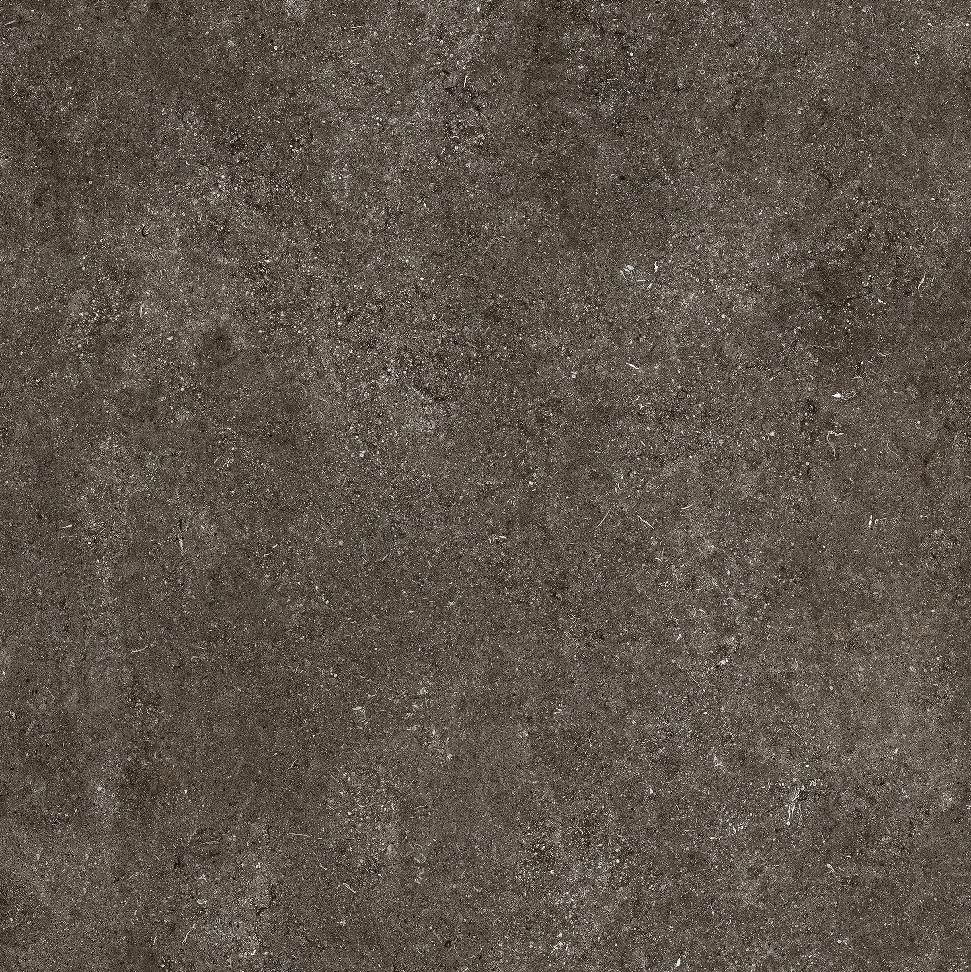 Florim Casa Dolce Casa Sensi By Thun Br.Fossil Nat6Mm 120X120R 768560