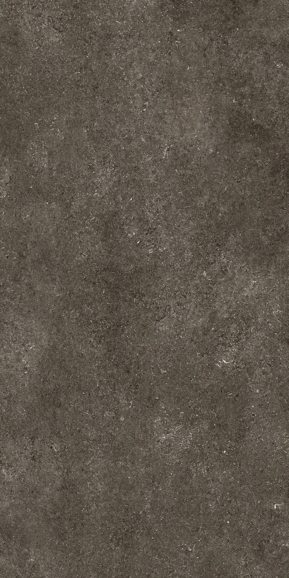 Florim Casa Dolce Casa Sensi By Thun Br.Fossil Nat6Mm 120X240R  768585