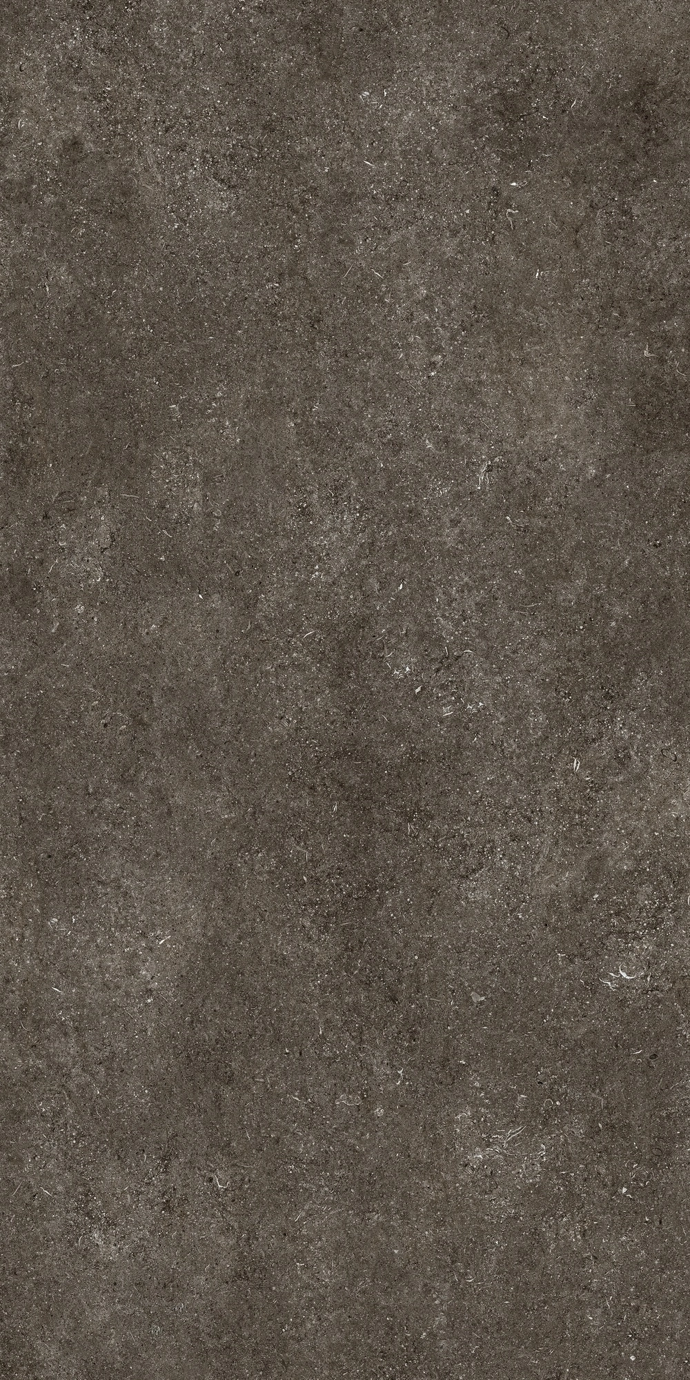 Florim Casa Dolce Casa Sensi By Thun Br.Fossil Nat6Mm 120X240R  768585