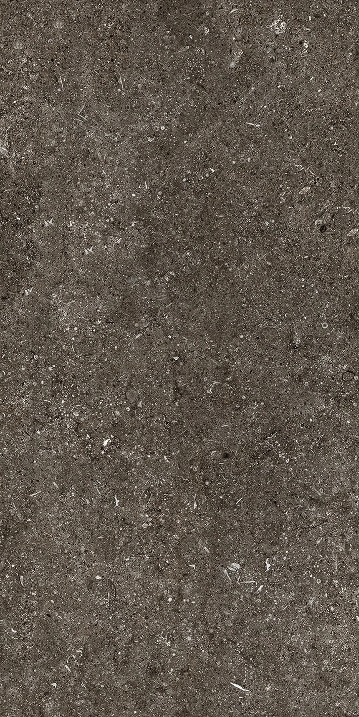 Florim Casa Dolce Casa Sensi By Thun Br.Fossil Nat6Mm 60X120R  768625