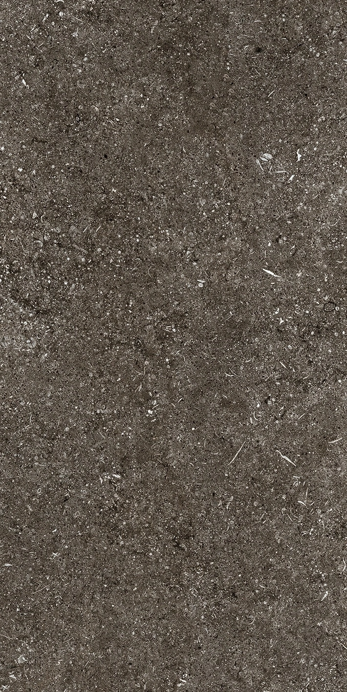 Florim Casa Dolce Casa Sensi By Thun Br.Fossil Nat6Mm 60X120R  768625