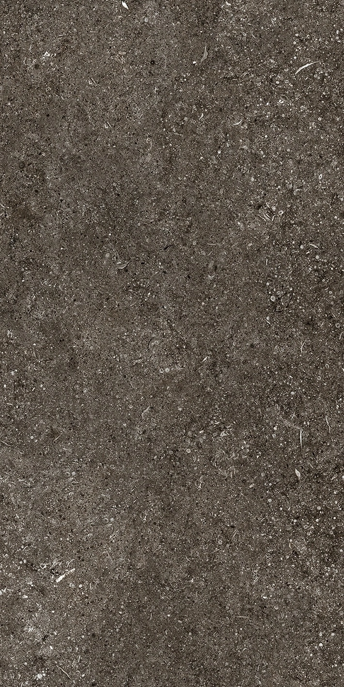 Florim Casa Dolce Casa Sensi By Thun Br.Fossil Nat6Mm 60X120R  768625