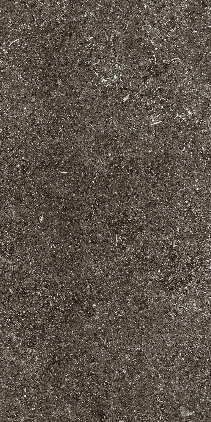 Florim Casa Dolce Casa Sensi By Thun Br.Fossil Nat6Mm 60X120R  768625