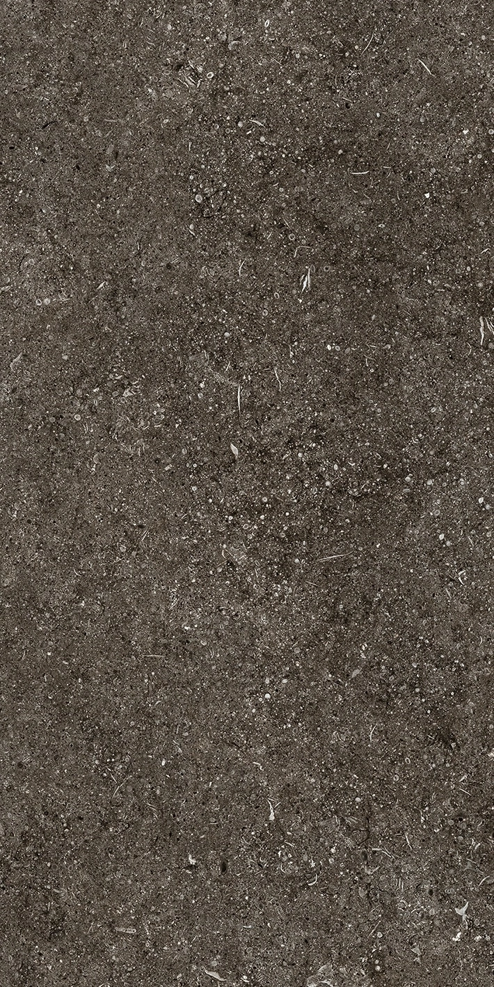 Florim Casa Dolce Casa Sensi By Thun Br.Fossil Nat6Mm 60X120R  768625