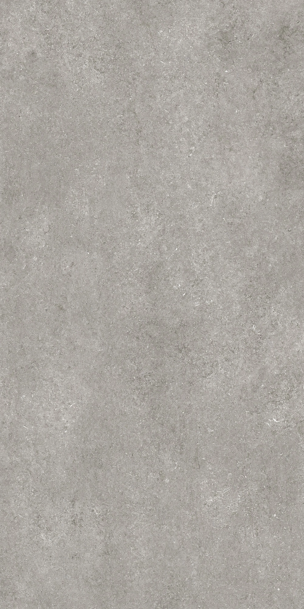 Florim Casa Dolce Casa Sensi By Thun Gr.Fossil Nat6Mm 120X240R 768581