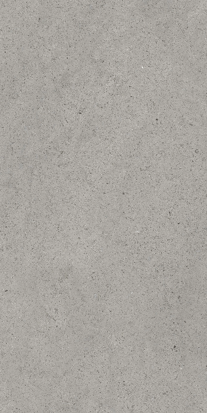 Florim Casa Dolce Casa Sensi By Thun Grey Dust  Nat6Mm 60X120R  768620
