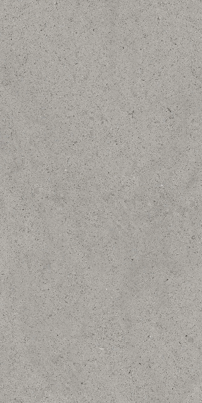 Florim Casa Dolce Casa Sensi By Thun Grey Dust  Nat6Mm 60X120R  768620