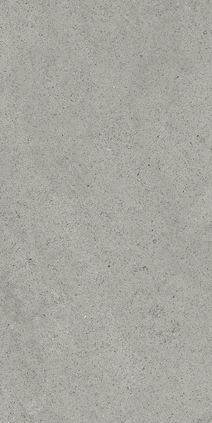 Florim Casa Dolce Casa Sensi By Thun Grey Dust  Nat6Mm 60X120R  768620