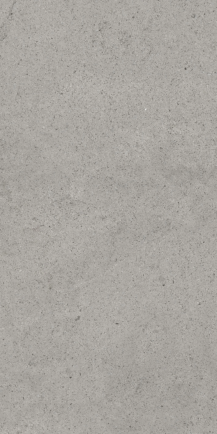 Florim Casa Dolce Casa Sensi By Thun Grey Dust  Nat6Mm 60X120R  768620