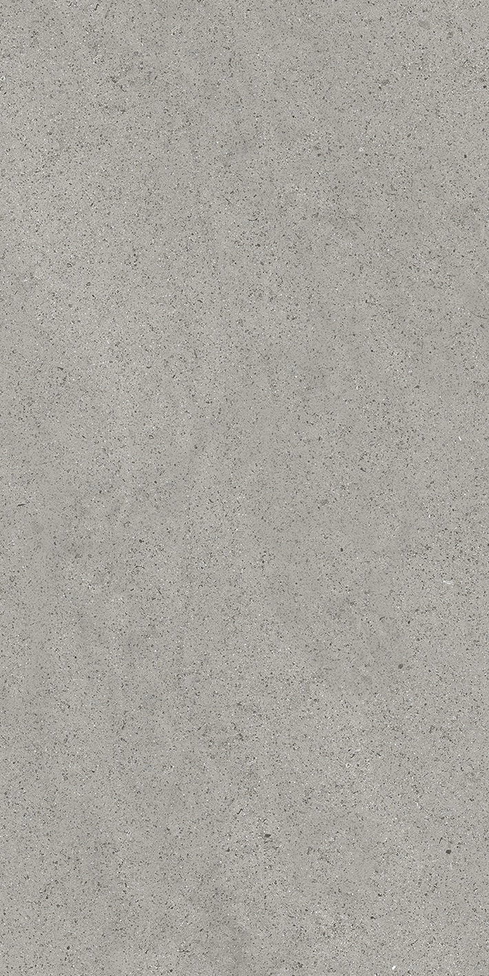 Florim Casa Dolce Casa Sensi By Thun Grey Dust  Nat6Mm 60X120R  768620