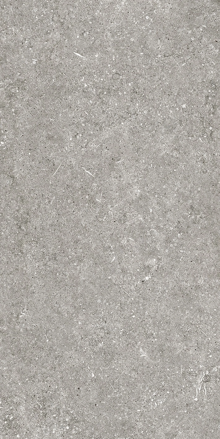 Florim Casa Dolce Casa Sensi By Thun Grey Fossil Nat6Mm 60X120R  768621