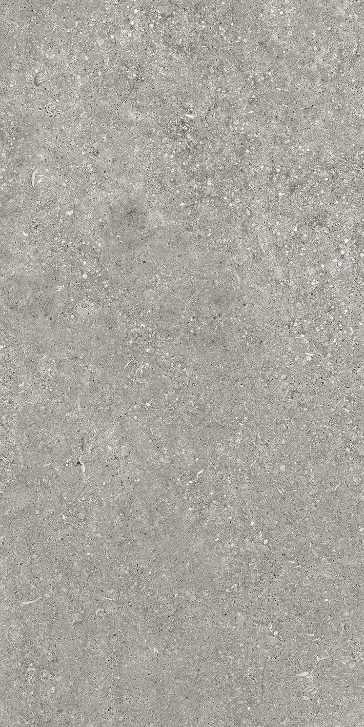 Florim Casa Dolce Casa Sensi By Thun Grey Fossil Nat6Mm 60X120R  768621