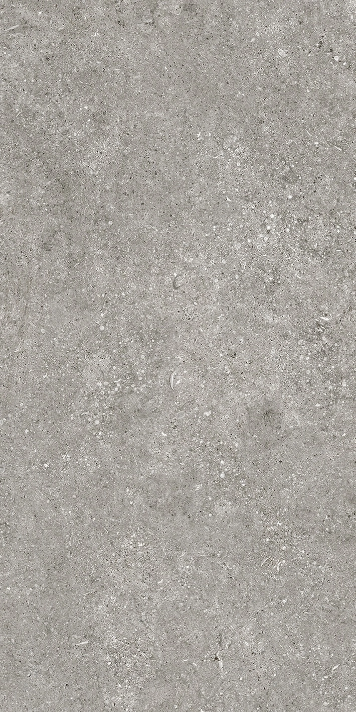 Florim Casa Dolce Casa Sensi By Thun Grey Fossil Nat6Mm 60X120R  768621