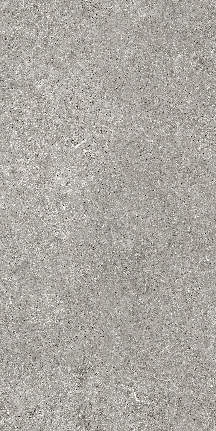 Florim Casa Dolce Casa Sensi By Thun Grey Fossil Nat6Mm 60X120R  768621