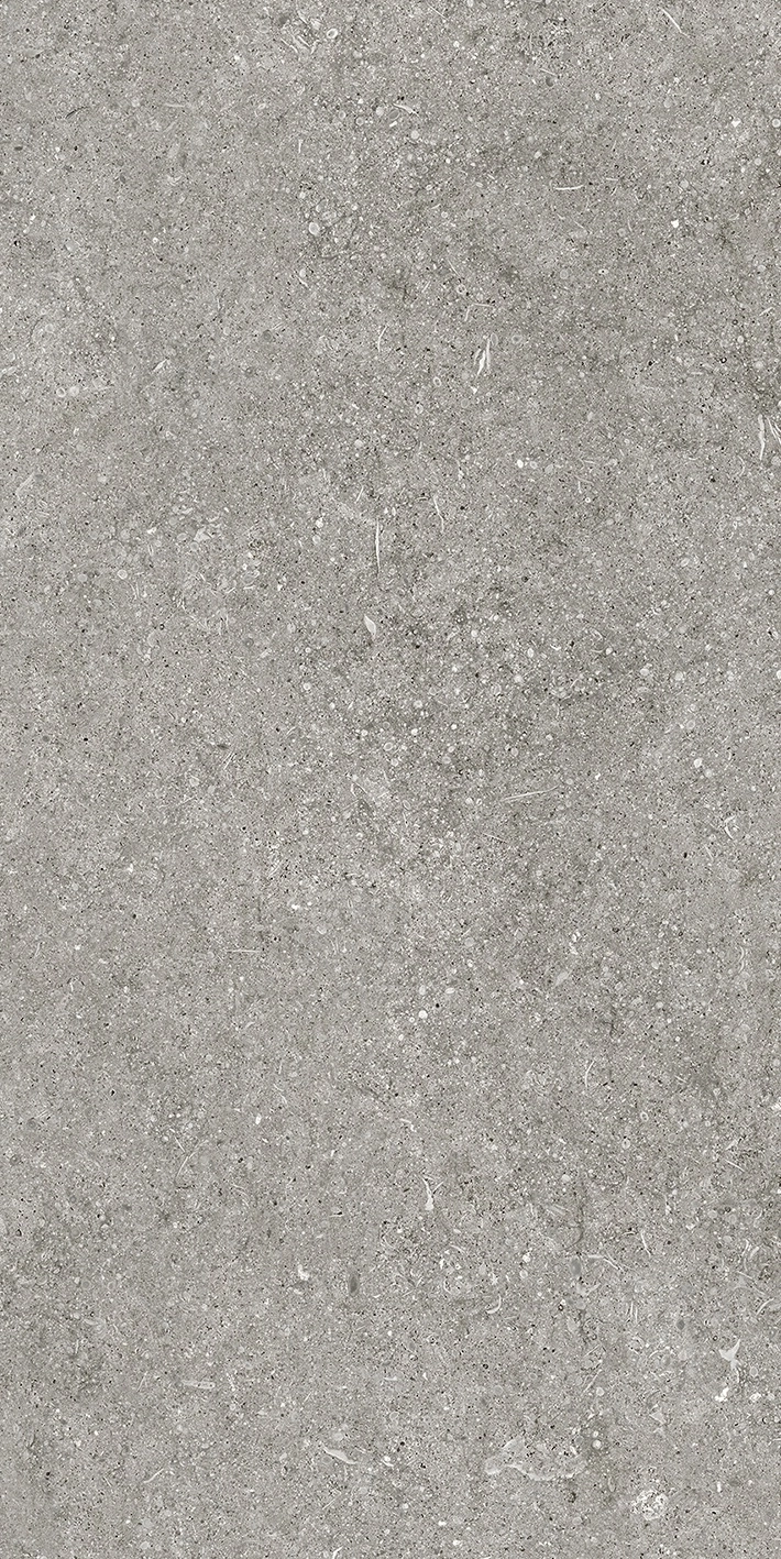 Florim Casa Dolce Casa Sensi By Thun Grey Fossil Nat6Mm 60X120R  768621