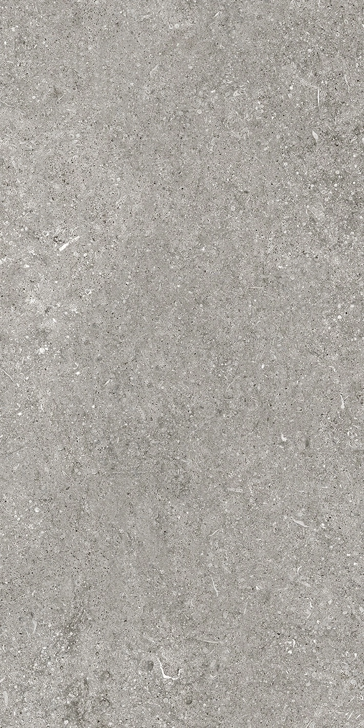Florim Casa Dolce Casa Sensi By Thun Grey Fossil Nat6Mm 60X120R  768621