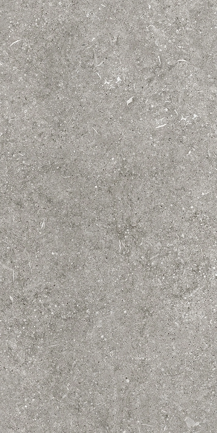 Florim Casa Dolce Casa Sensi By Thun Grey Fossil Nat6Mm 60X120R  768621