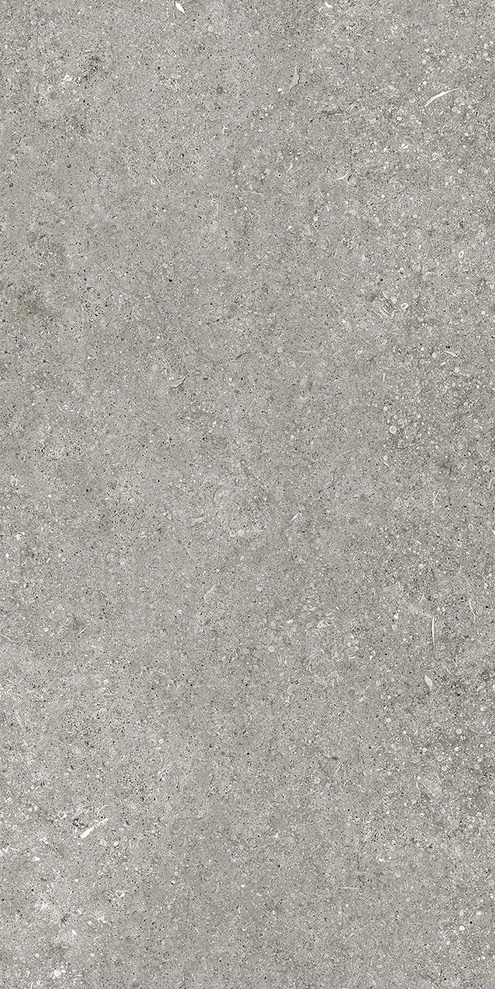 Florim Casa Dolce Casa Sensi By Thun Grey Fossil Nat6Mm 60X120R  768621