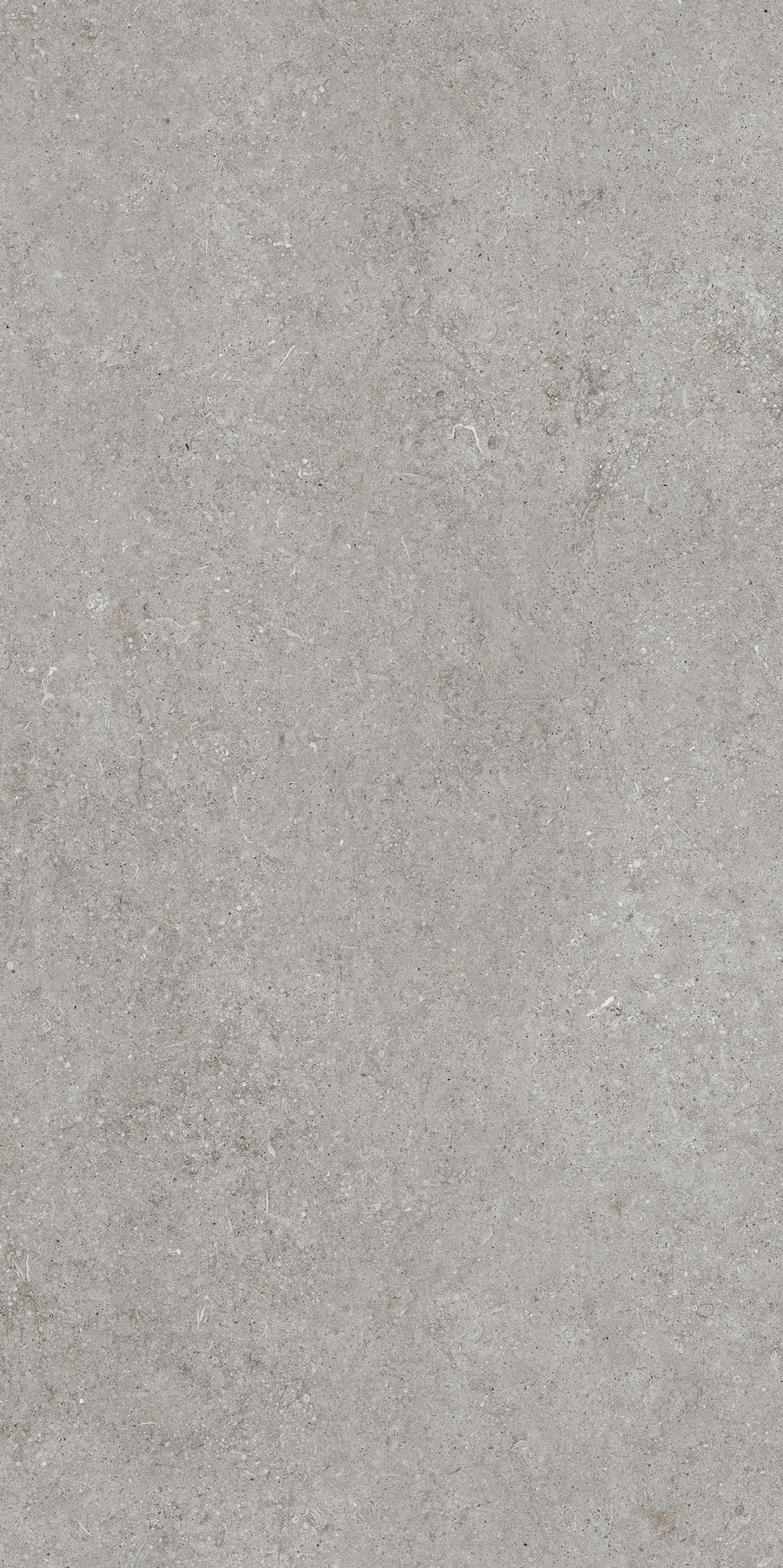 Florim Casa Dolce Casa Sensi Grey Fossil 60X120 Ret  768316