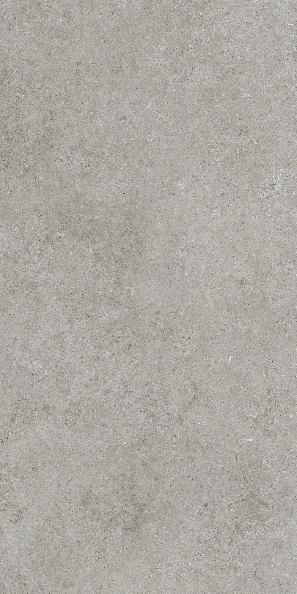 Florim Casa Dolce Casa Sensi Grey Fossil 60X120 Ret  768316