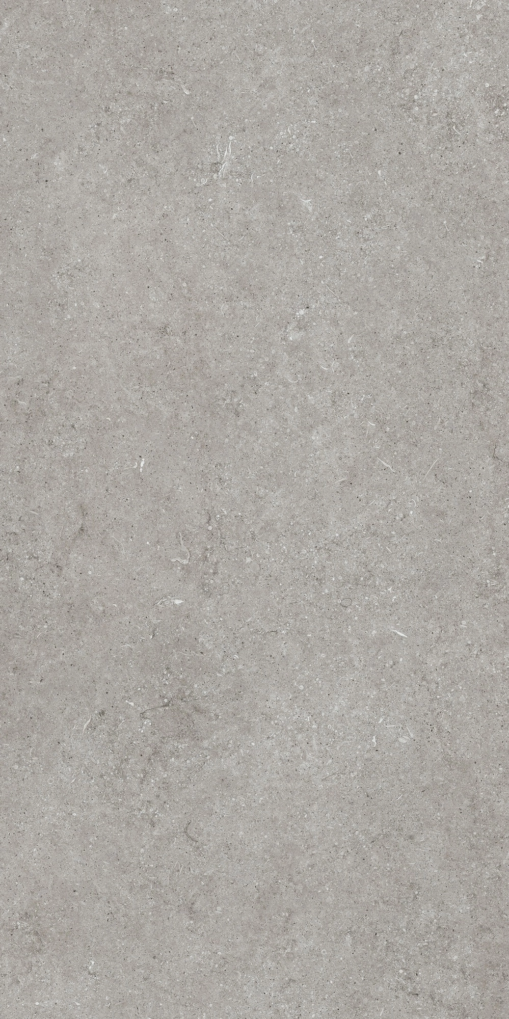 Florim Casa Dolce Casa Sensi Grey Fossil 60X120 Ret  768316