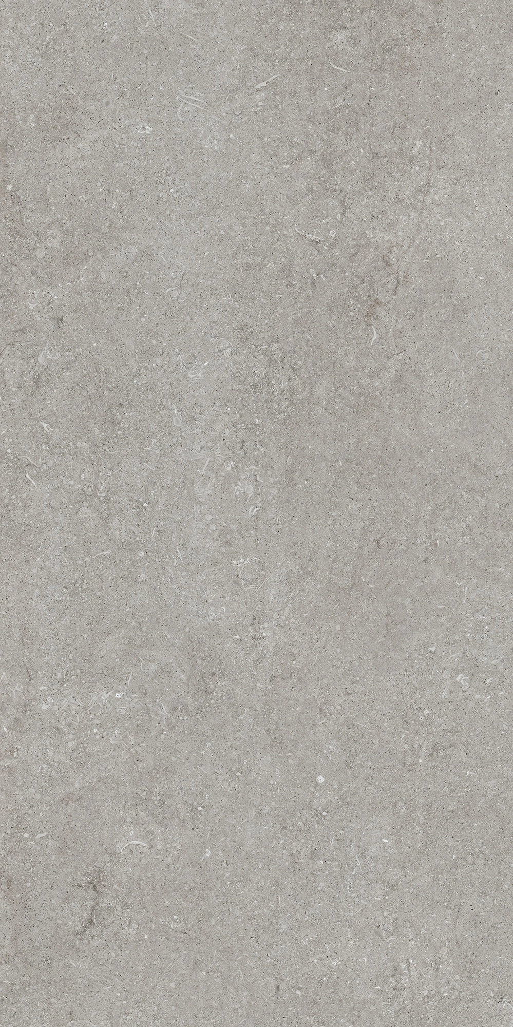 Florim Casa Dolce Casa Sensi Grey Fossil 60X120 Ret  768316