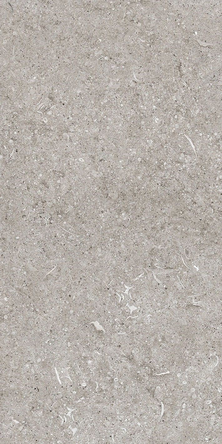 Florim Casa Dolce Casa Sensi Grey Fossil R+Ptv 40X80 Rett  768343