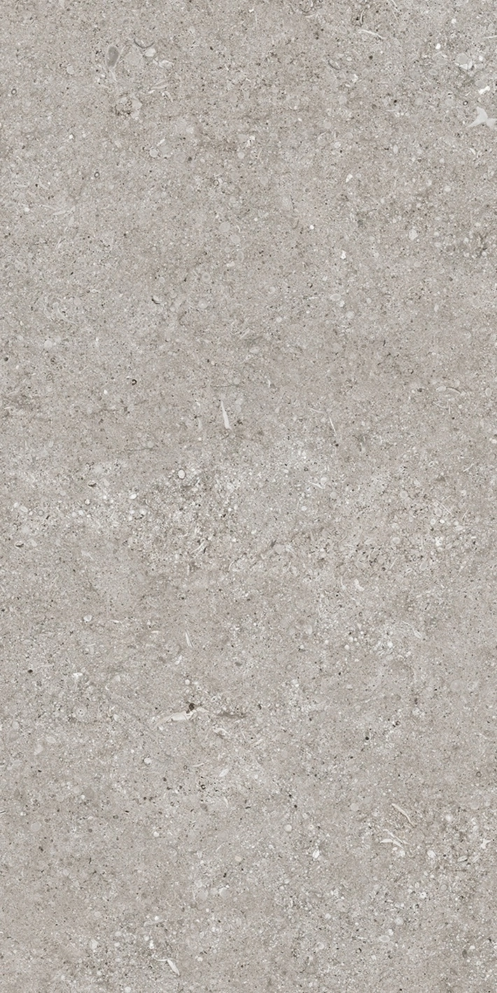 Florim Casa Dolce Casa Sensi Grey Fossil R+Ptv 40X80 Rett  768343