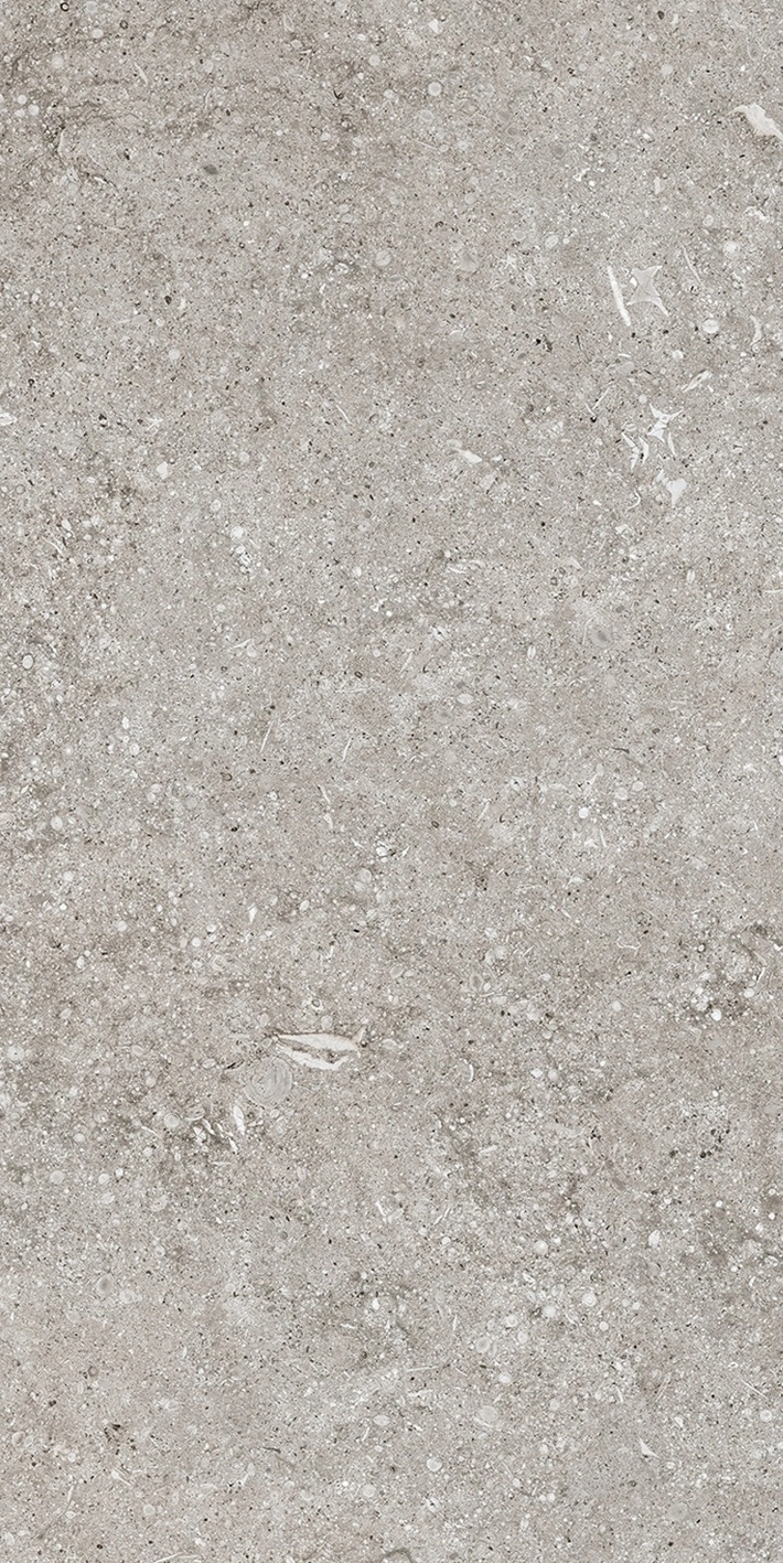 Florim Casa Dolce Casa Sensi Grey Fossil R+Ptv 40X80 Rett  768343