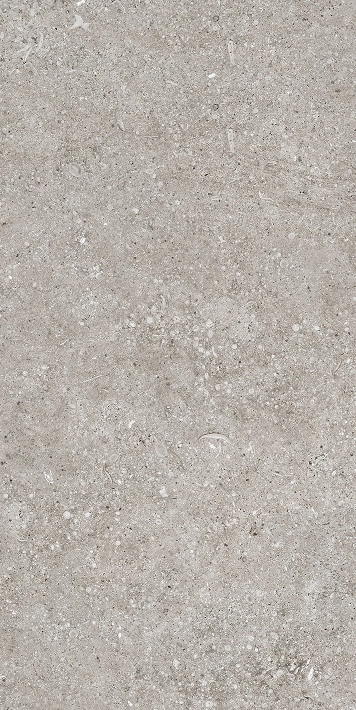 Florim Casa Dolce Casa Sensi Grey Fossil R+Ptv 40X80 Rett  768343