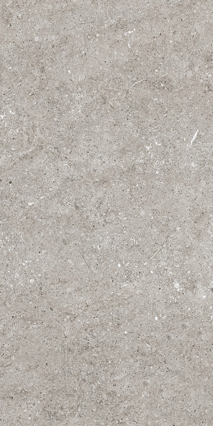 Florim Casa Dolce Casa Sensi Grey Fossil R+Ptv 40X80 Rett  768343