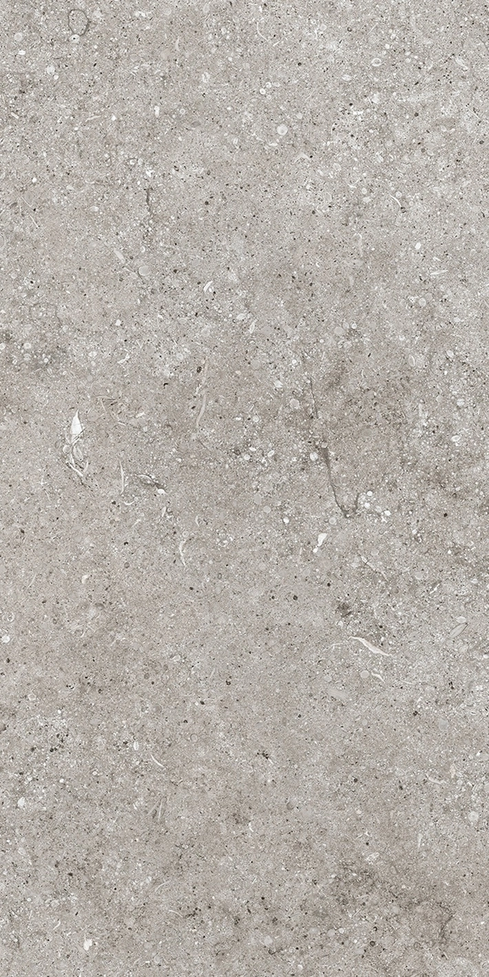 Florim Casa Dolce Casa Sensi Grey Fossil R+Ptv 40X80 Rett  768343