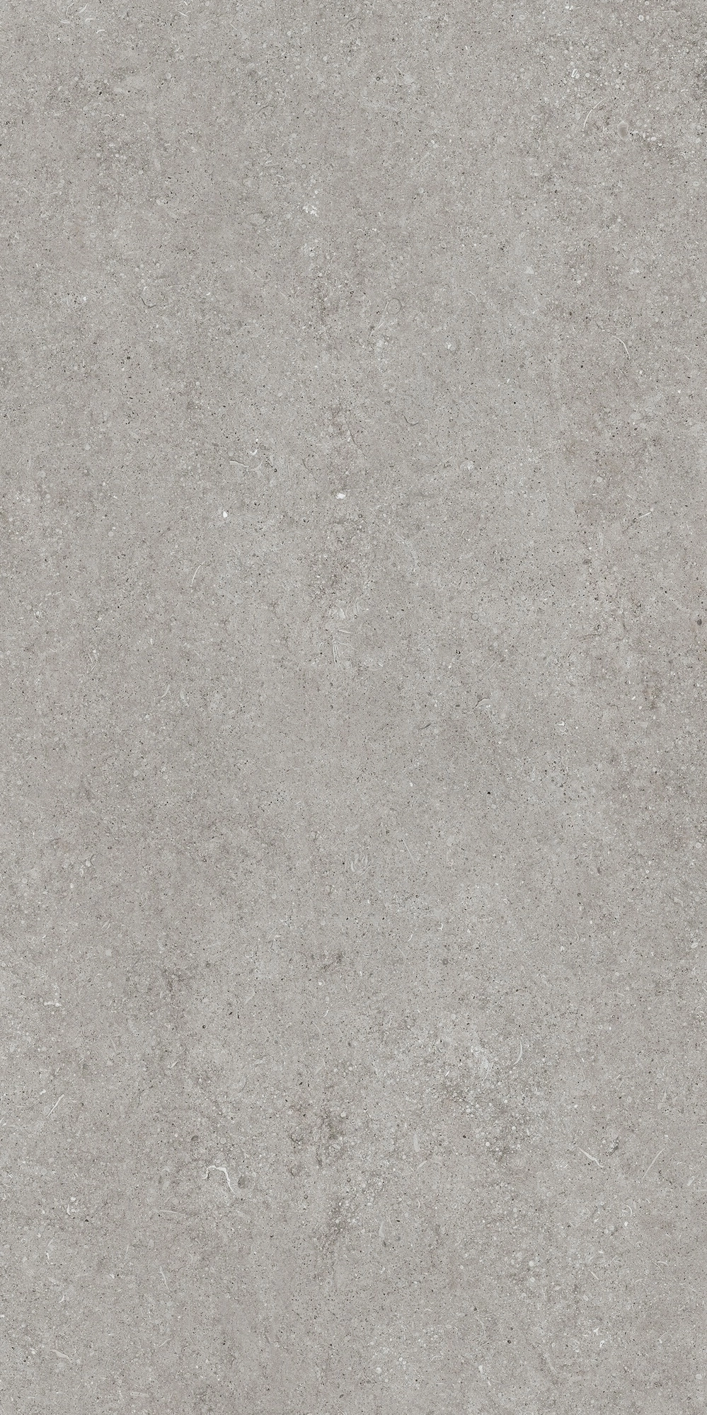 Florim Casa Dolce Casa Sensi Grey Fossil R+Ptv 60X120 Ret  768317