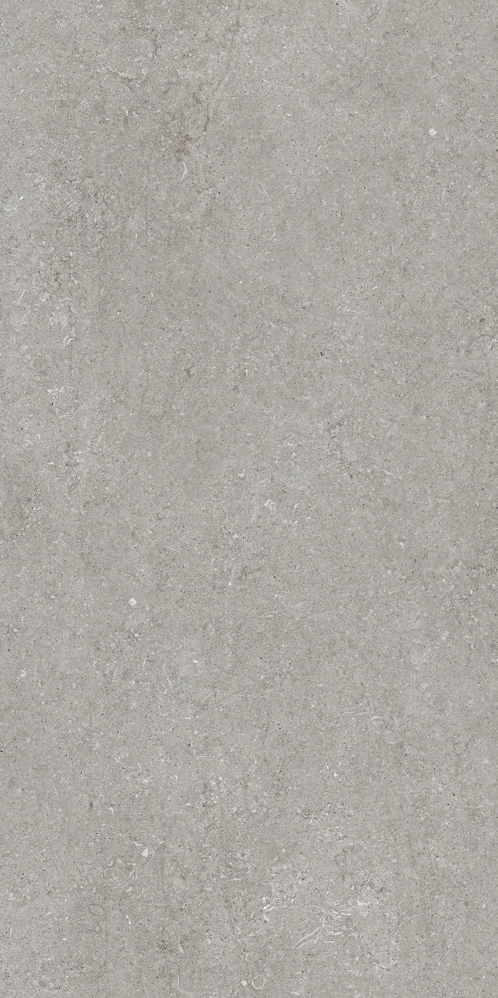 Florim Casa Dolce Casa Sensi Grey Fossil R+Ptv 60X120 Ret  768317
