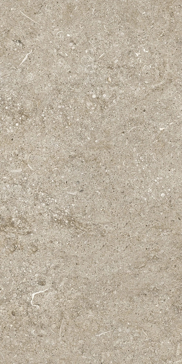 Florim Casa Dolce Casa Sensi Ivory Fossil 40X80 Ret  768337