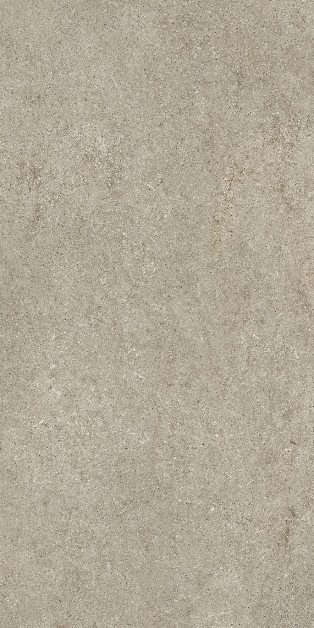 Florim Casa Dolce Casa Sensi Ivory Fossil 60X120 Ret  768298