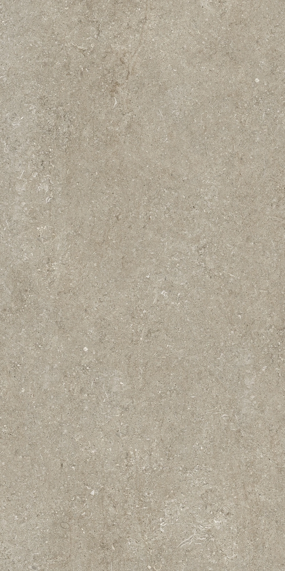 Florim Casa Dolce Casa Sensi Ivory Fossil 60X120 Ret  768298