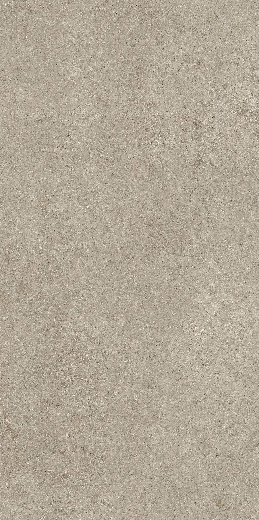 Florim Casa Dolce Casa Sensi Ivory Fossil 60X120 Ret  768298