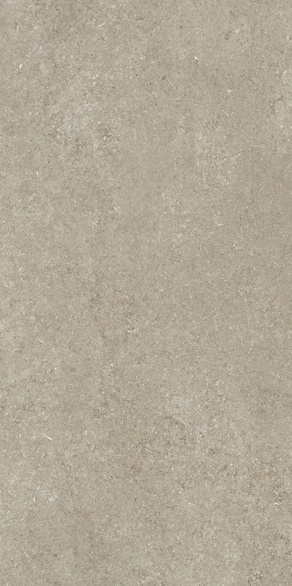 Florim Casa Dolce Casa Sensi Ivory Fossil 60X120 Ret  768298