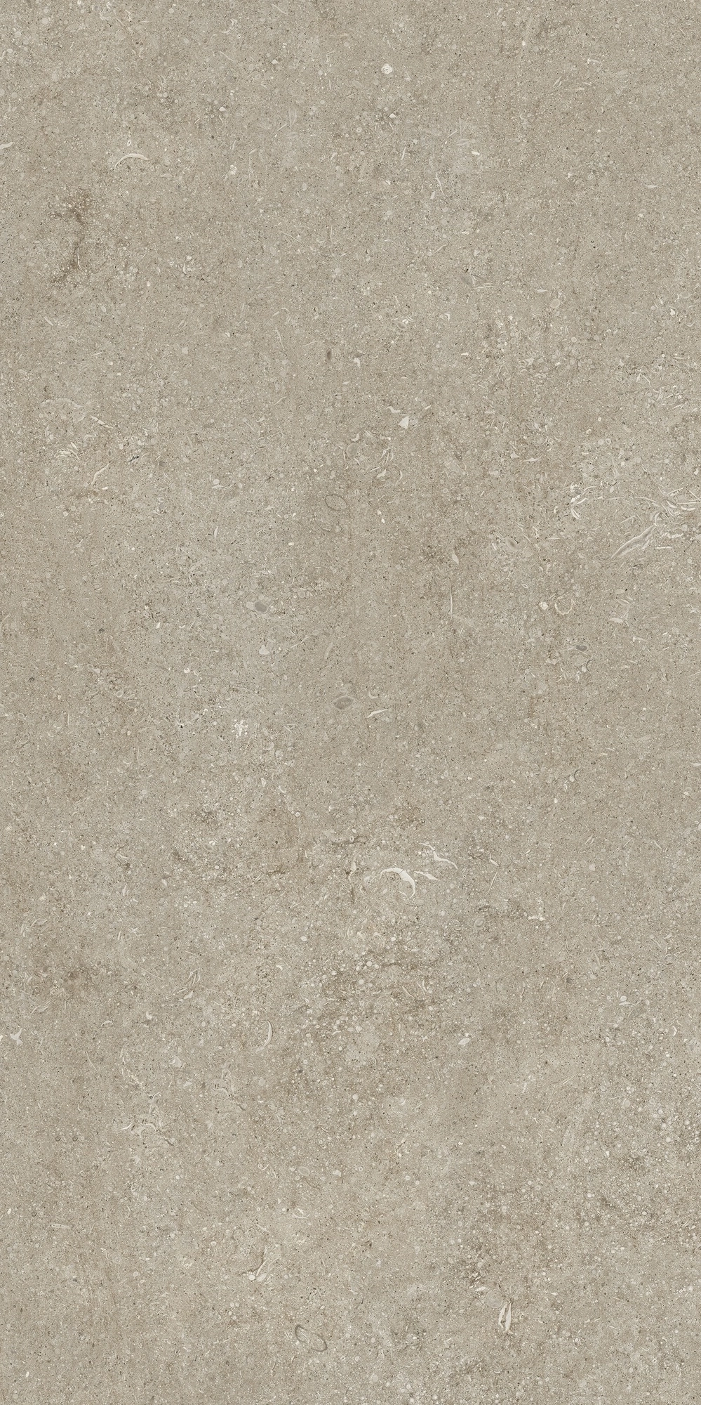 Florim Casa Dolce Casa Sensi Ivory Fossil 60X120 Ret  768298