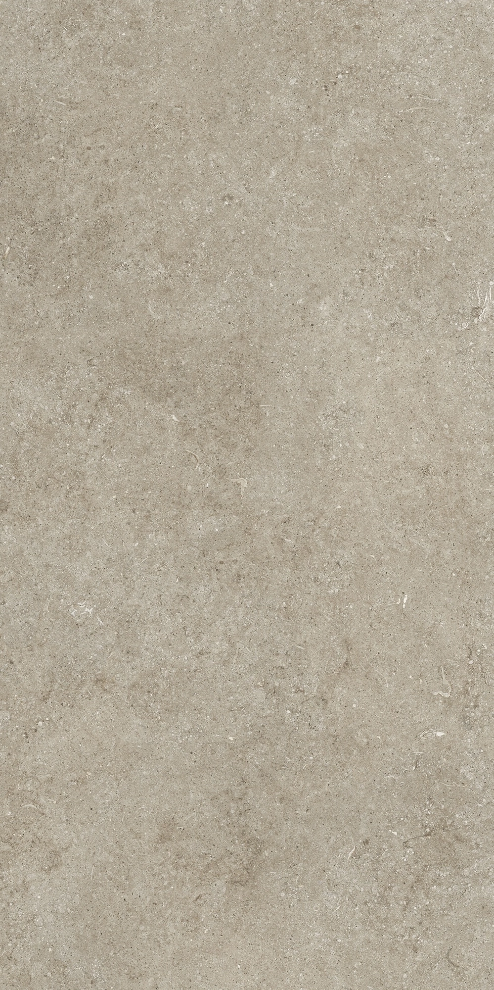 Florim Casa Dolce Casa Sensi Ivory Fossil 60X120 Ret  768298