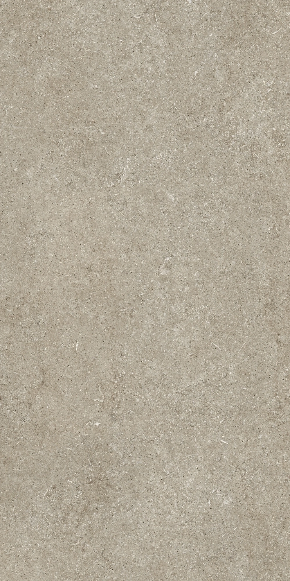 Florim Casa Dolce Casa Sensi Ivory Fossil 60X120 Ret  768298