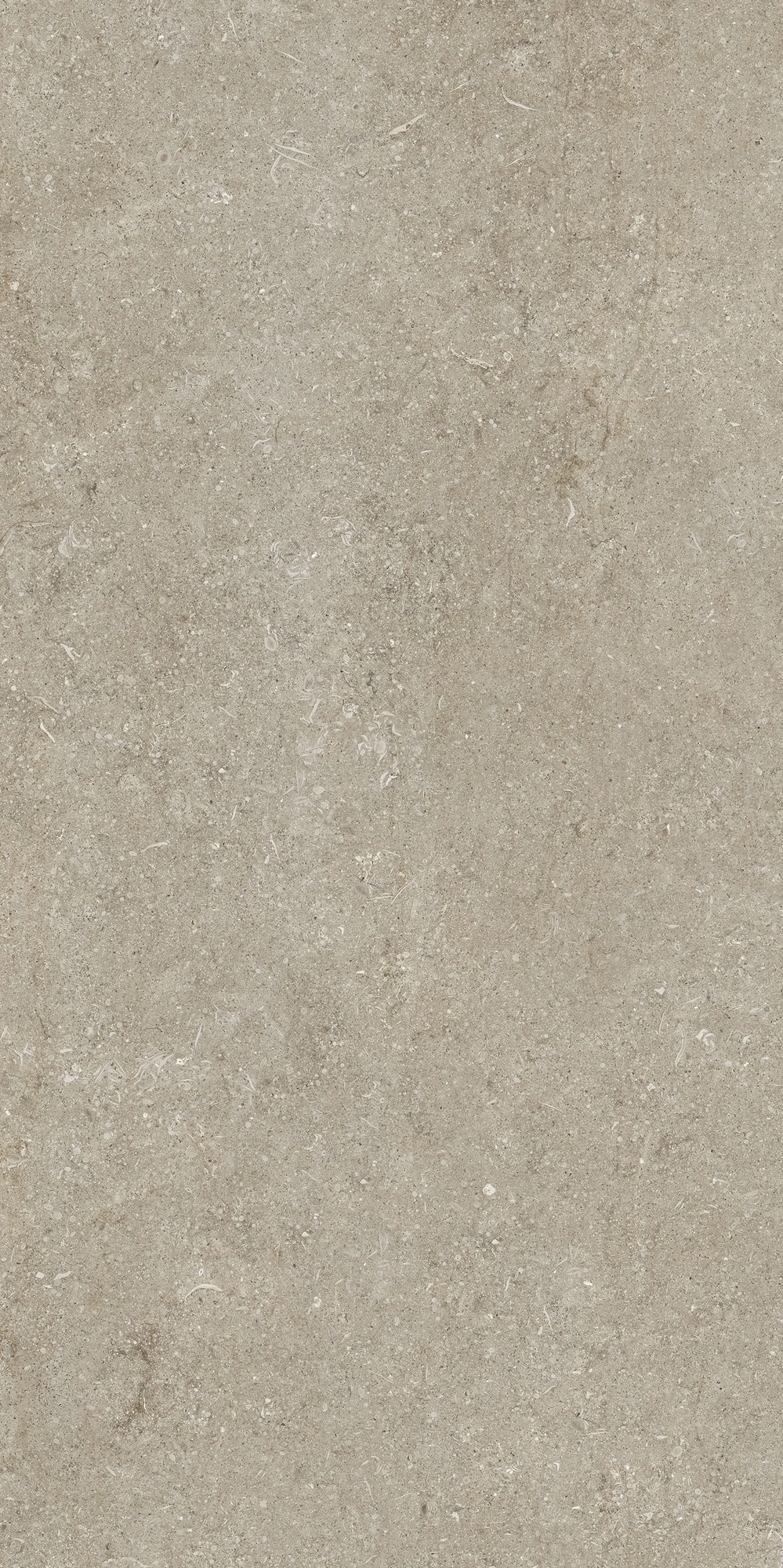 Florim Casa Dolce Casa Sensi Ivory Fossil 60X120 Ret  768298